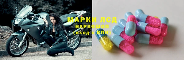 эйфоретик Баксан