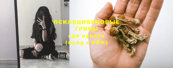 эйфоретик Баксан