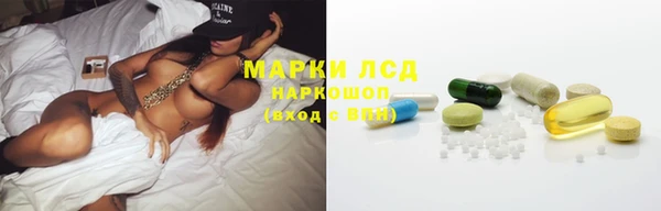 эйфоретик Баксан